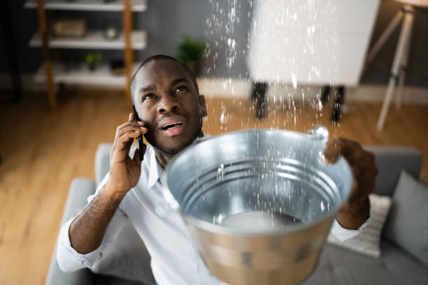Best Basement water damage restoration  in Liberty, TX