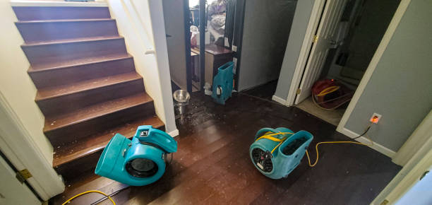 Best Water damage contractors near me  in Liberty, TX