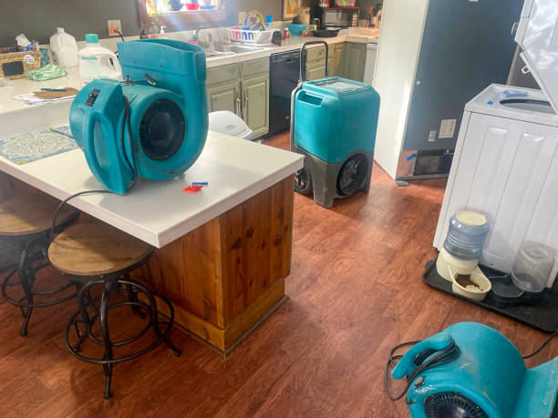 Best Local water damage restoration  in Liberty, TX