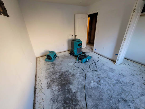 Best Flood restoration services  in Liberty, TX