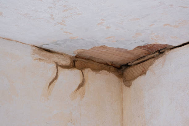 Best Flood restoration services  in Liberty, TX