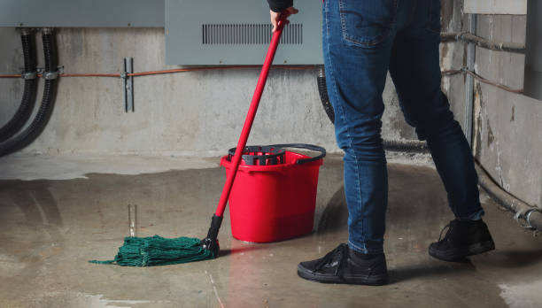 Best Water damage restoration specialists  in Liberty, TX