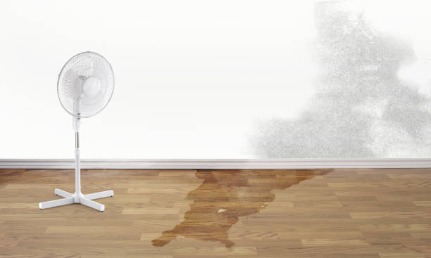 Best Sewage cleanup and water damage restoration  in Liberty, TX