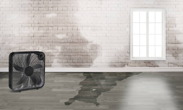 Trusted Liberty, TX Water damage restoration Experts