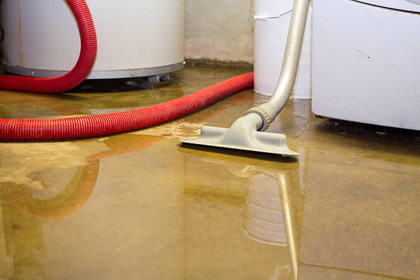 Best Ceiling water damage repair  in Liberty, TX