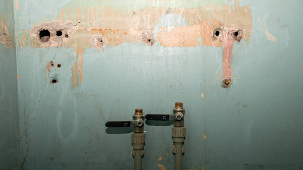 Best 24/7 water damage repair  in Liberty, TX
