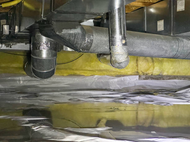 Best Water damage contractors near me  in Liberty, TX