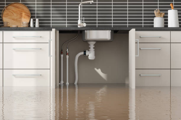 Best Mold removal after water damage  in Liberty, TX
